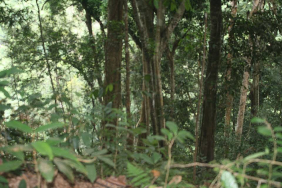 8 Days Kayaking on the Nam Ou River North Laos Expedition